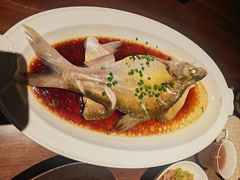 清蒸武昌鱼-曾宴·楚菜(湖北省博物馆店)