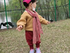-长白岛森林公园