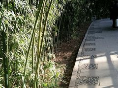景点-北京动物园