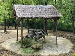 -合肥野生动物园
