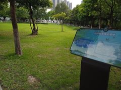 -广东花都湖国家湿地公园