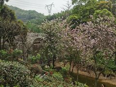 -广州市帽峰山景区