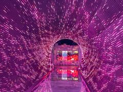 -正佳自然科学博物馆