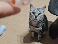 -贝来恩24H动物医院·转诊中心(稻香路店)