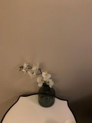-恒美雅轩·品牌直营连锁