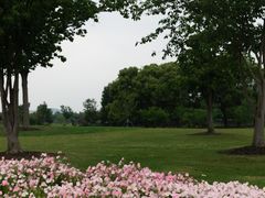 -上海辰山植物园