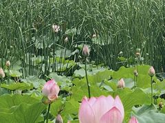 -百翠山居.家飨餐厅