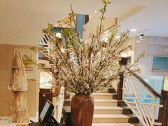 -顺峰(农展馆店)