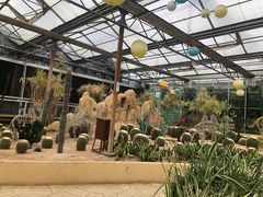 -南宫五洲植物乐园