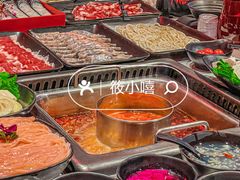 -鼎膳常火锅(华阳店)