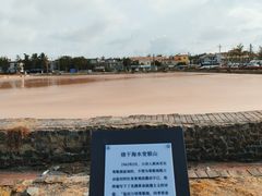 -莺歌海盐场