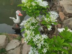 -竹泉村旅游度假区