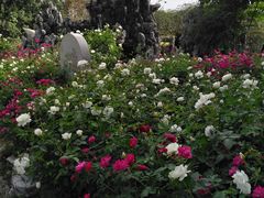 -人民公园(罗湖区)