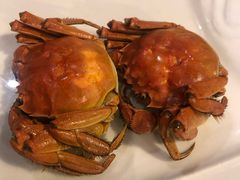 盘锦河蟹-小时候2013(瀚新店)