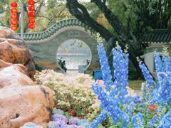 -荔湾湖公园