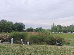 -两河城市森林公园