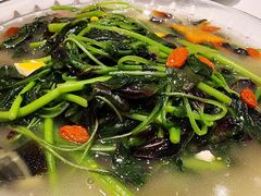 上汤苋菜-双井轩(双井店)