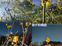 -无锡梅园公园