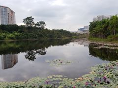 -聚龙山公园