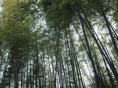 -径山寺