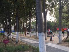 -回龙观体育文化公园