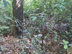 -广州市白云山风景名胜区