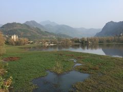-后柳水乡