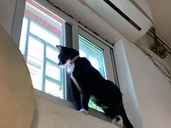 -小时光咖啡馆(北锣鼓巷店)
