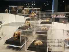 -北京周口店北京人遗址博物馆