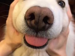 -白金汉爵大酒店(相城店)