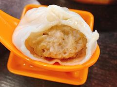 鲜肉小笼-大龙汤包