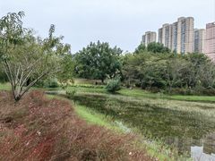 -堤角公园