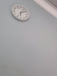 -孔雀手美甲美睫护理