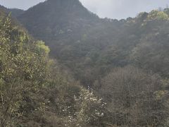 -神农架景区