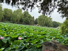 -莲池书院博物馆
