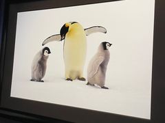 -罗红摄影艺术馆