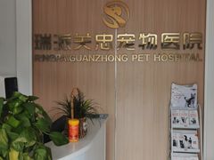 -瑞派·关忠动物医院·猫专科·犬专科(三环新城店)