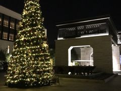 -上海崇明金茂凯悦酒店