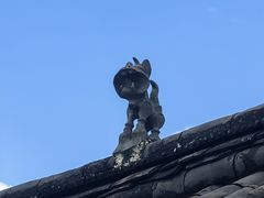 -浔岚云舍mist静谧观景美宿(丽江古城店)