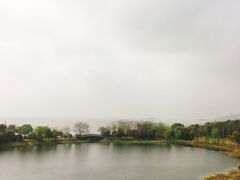 -上海市保健医疗中心(华东疗养院)