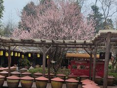 -土灶人家柴火鸡(都江堰店)