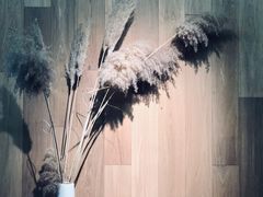 -山下C5cafe(惠通时代广场店)