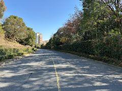 -平湖九龙山旅游度假区