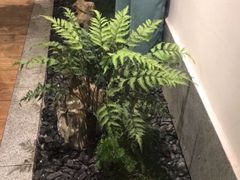 -付家大院(华丰店)