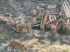 -泉州海丝野生动物世界