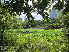 -龙头寺公园