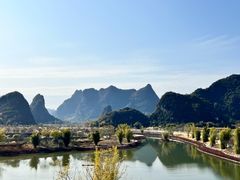 -馨越楼·点心·粤菜(赤坎店)