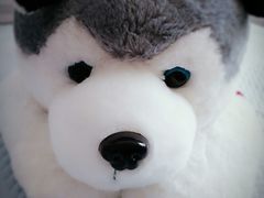 -PAWTOY爪e玩偶店(天兴罗斯福店)