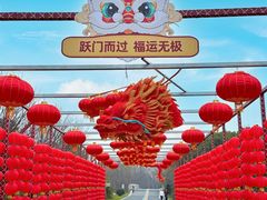 -同里国家湿地公园