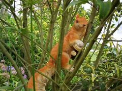 -云漫湖生态度假公园